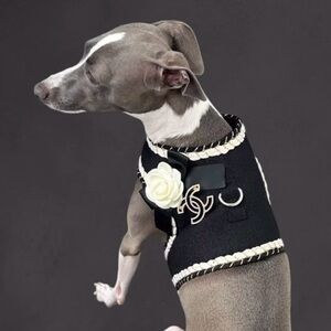 Pet harness